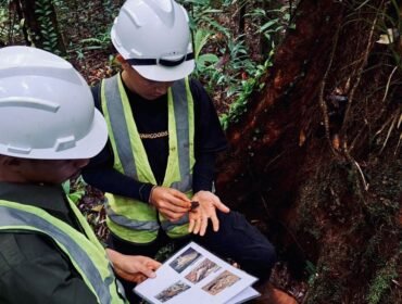 Aktivitas pemantauan biodiversitas PT GKP bersama akademisi berkontribusi membuka lembaran ilmiah baru tentang kekayaan hayati Pulau Wawonii. Foto: Istimewa