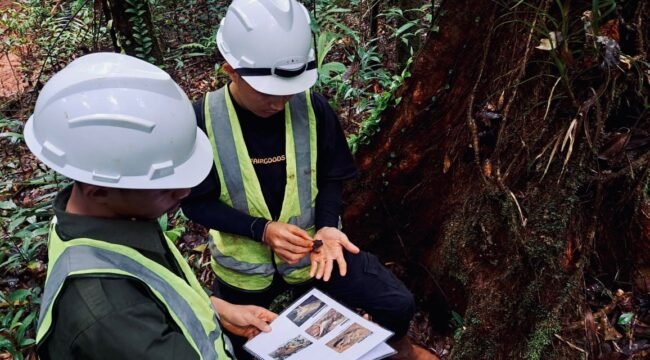 Aktivitas pemantauan biodiversitas PT GKP bersama akademisi berkontribusi membuka lembaran ilmiah baru tentang kekayaan hayati Pulau Wawonii. Foto: Istimewa
