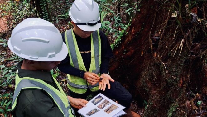 
 Aktivitas pemantauan biodiversitas PT GKP bersama akademisi berkontribusi membuka lembaran ilmiah baru tentang kekayaan hayati Pulau Wawonii. Foto: Istimewa
