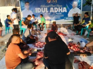 Kadin Sultra salurkan hewan kurban Lebaran Idul Adha 2026.Foto: Istimewa