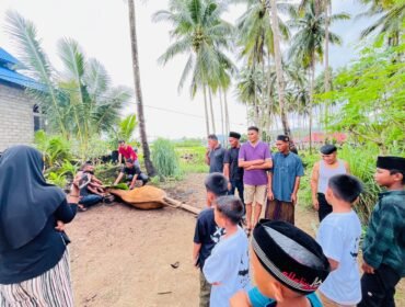 PT Gema Kreasi Perdana atau GKP menyalurkan 19 ekor sapi kurban kepada masyarakat lingkar tambang di Pulau Wawonii