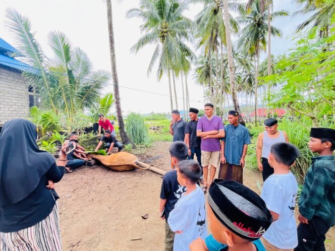 
 PT Gema Kreasi Perdana atau GKP menyalurkan 19 ekor sapi kurban kepada masyarakat lingkar tambang di Pulau Wawonii