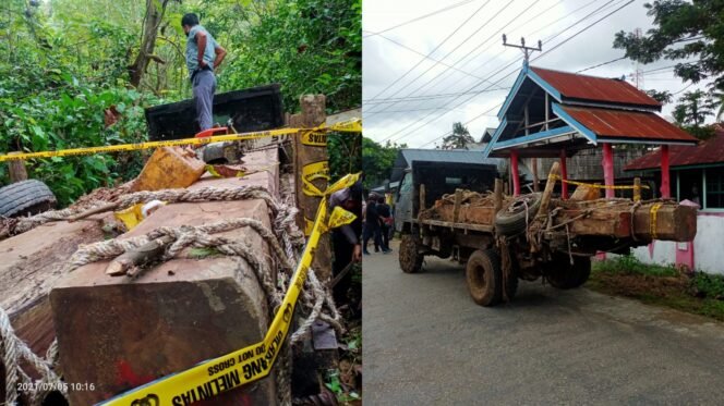 
 Tampak barang bukti kayu jati yang dititip di Polsek Batauga Buton Selatan.Foto: Istimewa