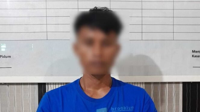 
 SW (29) diamankan polisi usai diduga melakukan tindak pidana KDRT. Foto: Istimewa