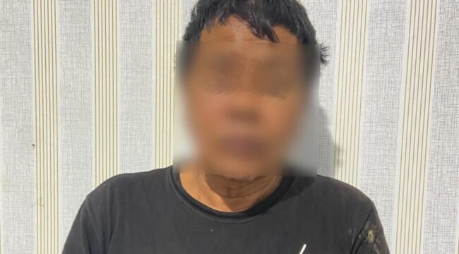 Pria asal Konawe Selatan inisial AN (53) ditangkap polisi diduga melakukan pemerkosaan terhadap anak tirinya. Foto: Istimewa