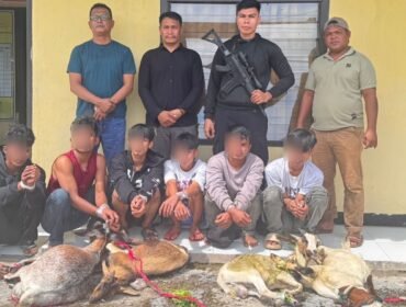 Enam pelaku tindak pidana pencurian kambing di Mawasangka Buteng ditangkap saat hendak kabur ke Baubau. Foto: Istimewa