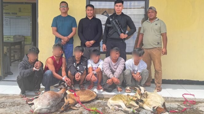 
 Enam pelaku tindak pidana pencurian kambing di Mawasangka Buteng ditangkap saat hendak kabur ke Baubau. Foto: Istimewa