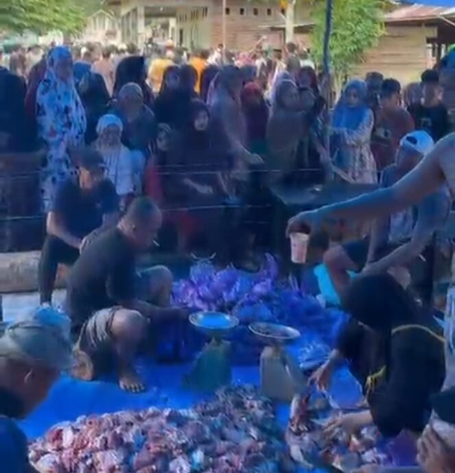 
 Proses pemotongan sapi kurban dari Bahtra Banong. Foto: Istimewa