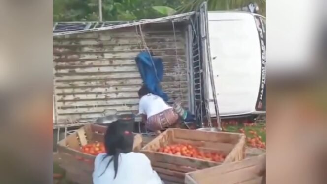
 Mobil Pikap bermuatan tomat terbalik di Jalan Poros Desa Lakapodo Muna. Foto: Istimewa.