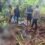 Dilaporkan Hilang Saat Mencari Daun Sagu, Petani di Konawe Ditemukan Meninggal di Rawa