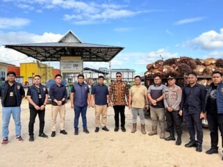 Tim Gabungan Satgas Pusat Sapu Bersih Pelanggaran Harga, Keamanan dan Mutu Pangan bersama Subdit IV Tipidter Polda Sultra saat melakukan pengawasan di sejumlah perusahaan kelapa sawit di Konsel. Foto: Istimewa