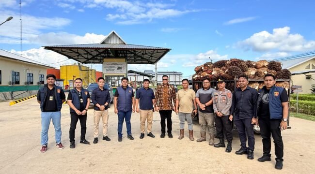 Tim Gabungan Satgas Pusat Sapu Bersih Pelanggaran Harga, Keamanan dan Mutu Pangan bersama Subdit IV Tipidter Polda Sultra saat melakukan pengawasan di sejumlah perusahaan kelapa sawit di Konsel. Foto: Istimewa