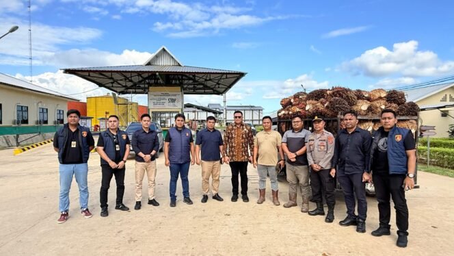 
 Tim Gabungan Satgas Pusat Sapu Bersih Pelanggaran Harga, Keamanan dan Mutu Pangan bersama Subdit IV Tipidter Polda Sultra saat melakukan pengawasan di sejumlah perusahaan kelapa sawit di Konsel. Foto: Istimewa