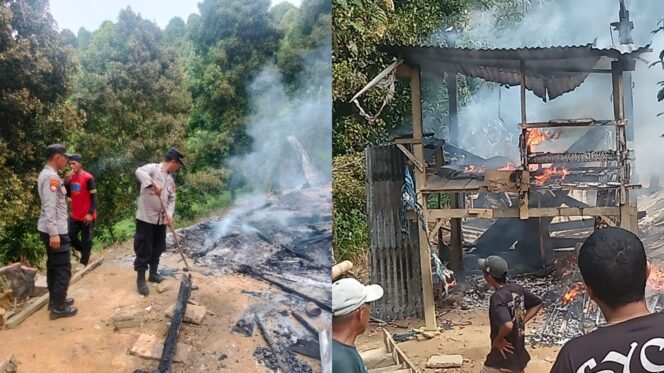 
 Rumah warga di Desa Sani-sani, Kecamatan Samaturu, Kabupaten Kolaka ludes terbakar saat pemilknya pergi ke kebun. Foto: Istimewa