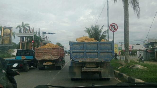 
 Dua mobil truk dengan muatan diduga melebihi kapasitas melintas di Jalan Raya Kota Kendari. Foto: Istimewa.