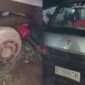 Seorang pria meninggal dunia setelah tertindis mobil pikap bermuatan tondon air di Konawe. Foto: Istimewa