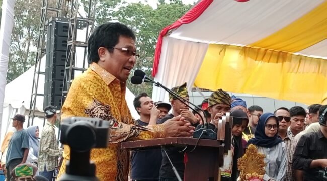 Wakil Ketua Komisi V DPR RI Ridwan Bae saat menyampaikan sambutan dalam angenda Silaturahmi Akbar KKMM Sultra. Foto: Penafaktual.com