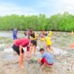Mahasiswa KKN Tematik Universitas Halu Oleo (UHO) Kendari dengan melibatkan pelajar melaksanakan aksi penanaman mangrove di pesisir Desa Sorue Jaya. Foto: Istimewa