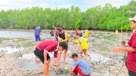 Mahasiswa KKN Tematik Universitas Halu Oleo (UHO) Kendari dengan melibatkan pelajar melaksanakan aksi penanaman mangrove di pesisir Desa Sorue Jaya. Foto: Istimewa