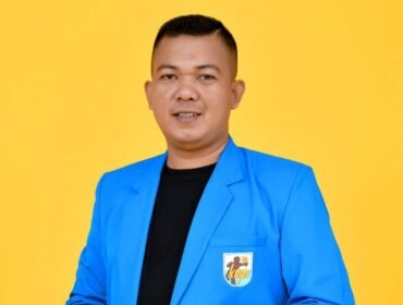 Ketua DPD KNPI Sultra. La Ode Hidayat. Foto: Istimewa.
