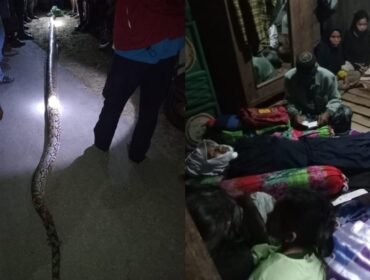 Wanita di Muna Barat, WA Ode Hartia (48) meninggal dunia setelah diserang ular piton ukuran 6 meter. Foto: Istimewa