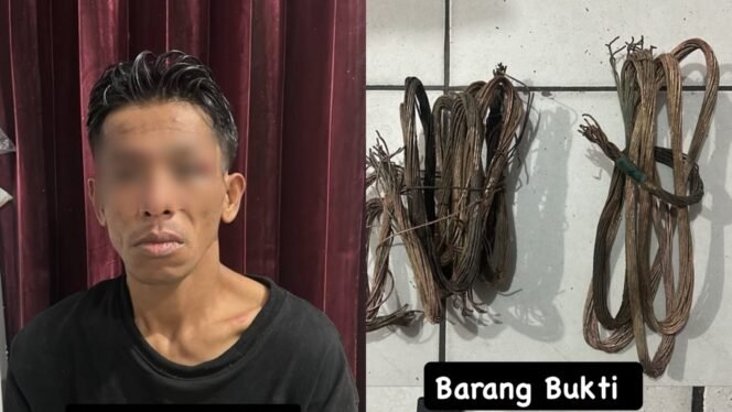 
 Pria inisial DE (33) ditangkap polisi diduga mencuri kabel PT Telkomsel di Kendari. Foto: Istimewa