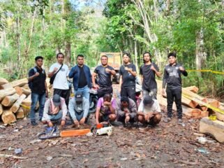 Lima pelaku penebangan liar pohon jati di kawasan Hutan Lindung Buton Selatan ditangkap polisi. Foto: Istimewa