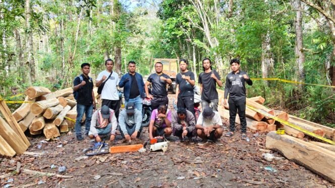 
 Lima pelaku penebangan liar pohon jati di kawasan Hutan Lindung Buton Selatan ditangkap polisi. Foto: Istimewa