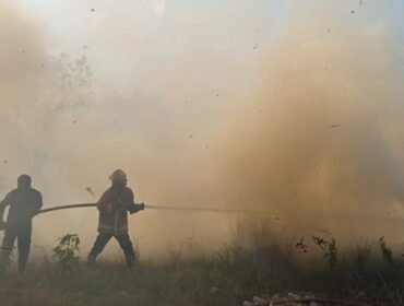 Petugas Damkarmat Kota Kendari tengah melakukan pemadaman api yang membakar lahan di Kelurahan Puuwatu Kendari. Foto: Istimewa