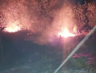 Kebakaran lahan terjadi di Kelurahan Lalodati, Kecamatan Puuwatu, Kota Kendari, Minggu malam (23/8/2026). Foto: Istimewa