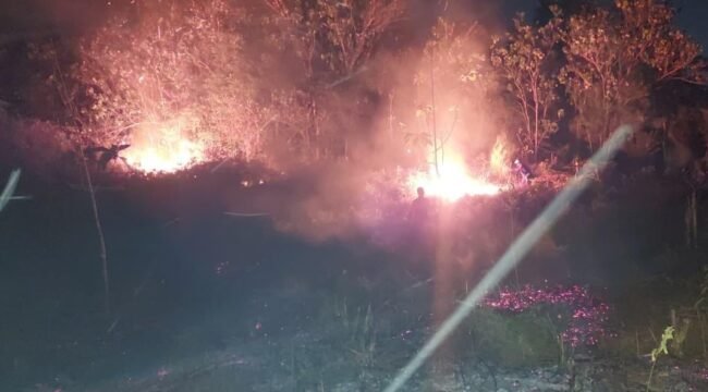 Kebakaran lahan terjadi di Kelurahan Lalodati, Kecamatan Puuwatu, Kota Kendari, Minggu malam (23/8/2026). Foto: Istimewa