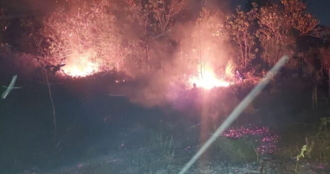 
 Kebakaran lahan terjadi di Kelurahan Lalodati, Kecamatan Puuwatu, Kota Kendari, Minggu malam (23/8/2026). Foto: Istimewa