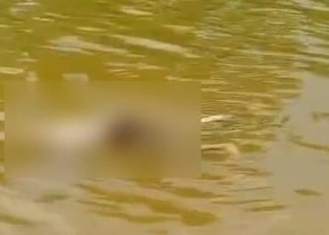 Tampak jasad korban ditemukan dalam kondisi tak utuh dan posisi telungkup di sungai Konawe Utara. Foto: Istimewa