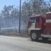 Petugas Damkar Kabupaten saat berupaya memadamkan api yang membakar hutan di Warangga Muna. Foto: Istimewa