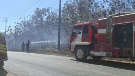 Petugas Damkar Kabupaten saat berupaya memadamkan api yang membakar hutan di Warangga Muna. Foto: Istimewa