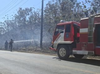 Petugas Damkar Kabupaten saat berupaya memadamkan api yang membakar hutan di Warangga Muna. Foto: Istimewa
