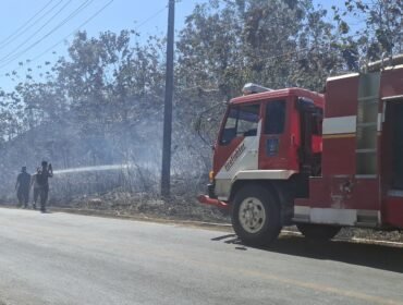 Petugas Damkar Kabupaten saat berupaya memadamkan api yang membakar hutan di Warangga Muna. Foto: Istimewa