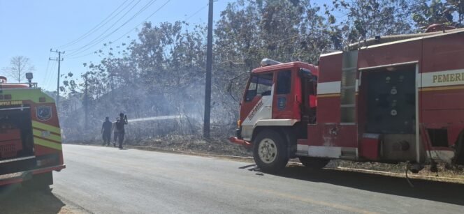 
 Petugas Damkar Kabupaten saat berupaya memadamkan api yang membakar hutan di Warangga Muna. Foto: Istimewa