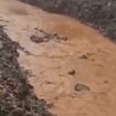 Air sungai di Laonti Konsel tampak berwarna kuning diduga tercemar akibat aktivitas tambang PT GMS. Foto: Istimewa