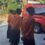 Pasang Jerat di Hutan Tongkuno, Lansia di Muna Tak Kunjung Kembali