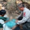 Seorang pria lansia, Andi Baru (64) meninggal dunia setelah terjatuh dari pohon enau setinggi delapan meter. Foto: Istimewa