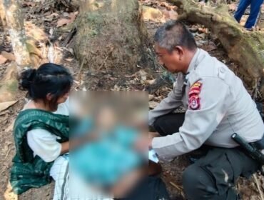 Seorang pria lansia, Andi Baru (64) meninggal dunia setelah terjatuh dari pohon enau setinggi delapan meter. Foto: Istimewa