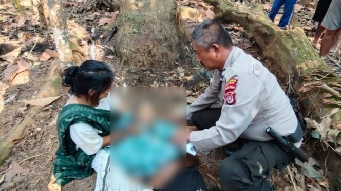 
 Seorang pria lansia, Andi Baru (64) meninggal dunia setelah terjatuh dari pohon enau setinggi delapan meter. Foto: Istimewa