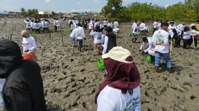 
 Sejumlah pegawai KUPP Kelas III Lapuko bersama mahasiswa, kepolisian masyarakat serta unsur pemerintah setempat saat melakukan penanaman Mangrove di pesisir pantai Desa Ranooha Raya, Kecamatan Moramo, Kabupaten Konsel, Kamis (17/9/2026).Foto: Istimewa.
