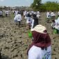 Sejumlah pegawai KUPP Kelas III Lapuko bersama mahasiswa, kepolisian masyarakat serta unsur pemerintah setempat saat melakukan penanaman Mangrove di pesisir pantai Desa Ranooha Raya, Kecamatan Moramo, Kabupaten Konsel, Kamis (17/9/2026).Foto: Istimewa.