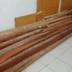 Barang bukti kayu yang disita petugas pada penangkapan dua warga Soropia Konawe yang diduga melakukan pembalakan liar di kawasan Tahura Nipa-Nipa. Foto: Penafaktual.com