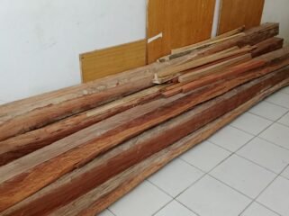 Barang bukti kayu yang disita petugas pada penangkapan dua warga Soropia Konawe yang diduga melakukan pembalakan liar di kawasan Tahura Nipa-Nipa. Foto: Penafaktual.com
