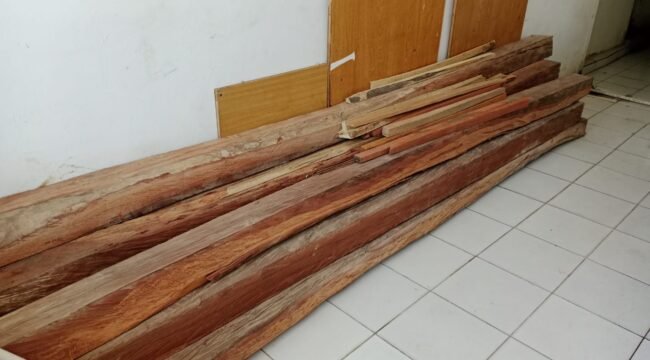 Barang bukti kayu yang disita petugas pada penangkapan dua warga Soropia Konawe yang diduga melakukan pembalakan liar di kawasan Tahura Nipa-Nipa. Foto: Penafaktual.com