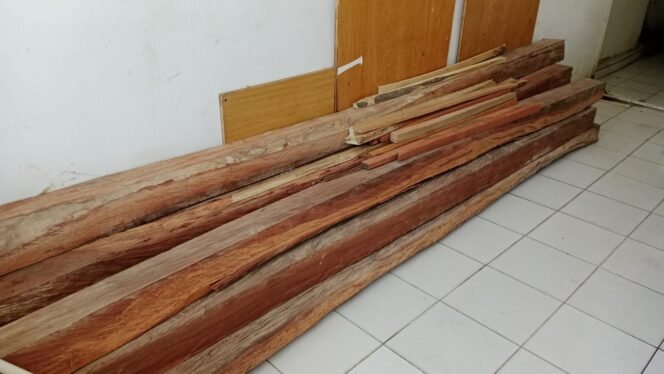
 Barang bukti kayu yang disita petugas pada penangkapan dua warga Soropia Konawe yang diduga melakukan pembalakan liar di kawasan Tahura Nipa-Nipa. Foto: Penafaktual.com