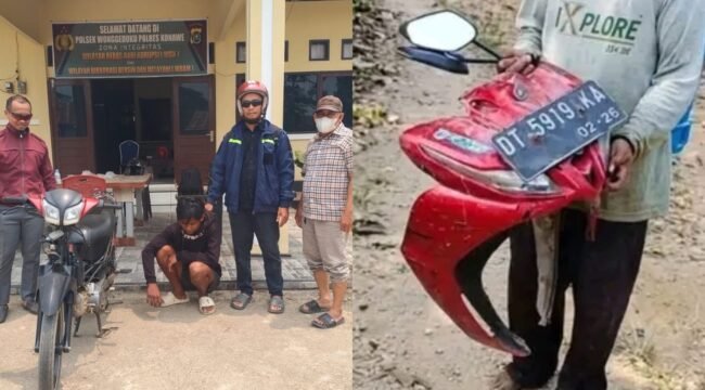 Remaja inisial DTS terduga pelaku  pencurian motor milik petani di Konawe ditangkap polisi. Foto: Istimewa